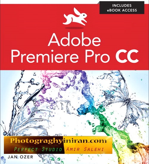 انواع پلاگین های Adobe Premiere CC